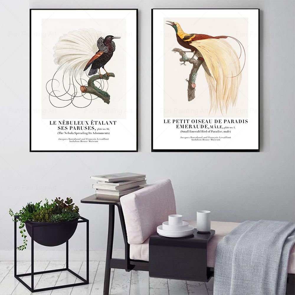 ヴィンテージパラダイス鳥壁アートキャンバス絵画博物館北欧ポス - Furniture Paradise & Hardware Ghaziabad Reviews のレビューと価格