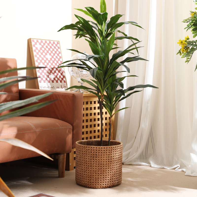 小型アパート用家具 床から天井までの植木鉢 ホームホール ガ - Furniture Paradise & Hardware Ghaziabad Reviews のレビューと価格